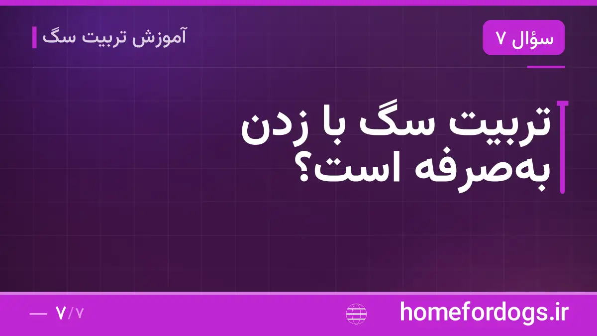 تربیت سگ با زدن به‌صرفه است؟