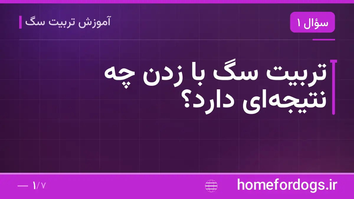 تربیت سگ با زدن چه نتیجه‌ای دارد؟