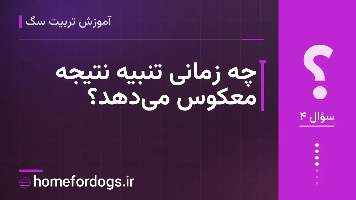 چه زمانی تنبیه نتیجه معکوس می‌دهد؟