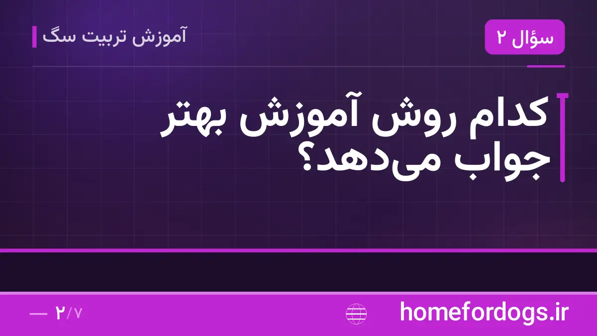 کدام روش آموزش بهتر جواب می‌دهد؟