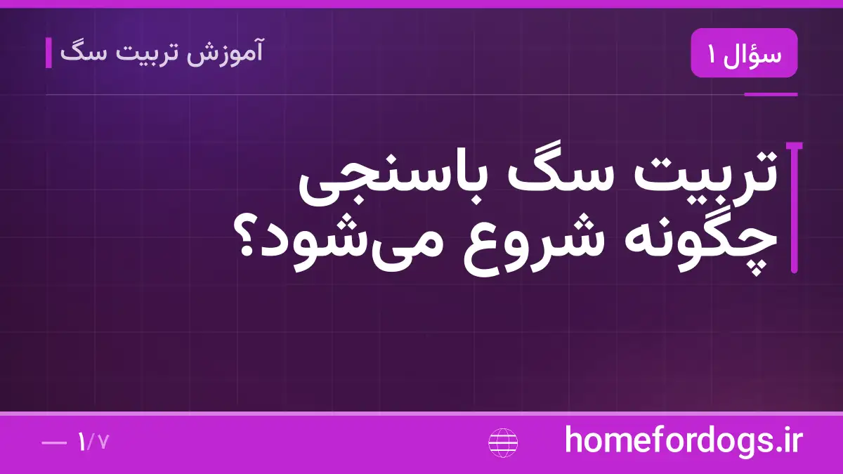 تربیت سگ باسنجی چگونه شروع می‌شود؟