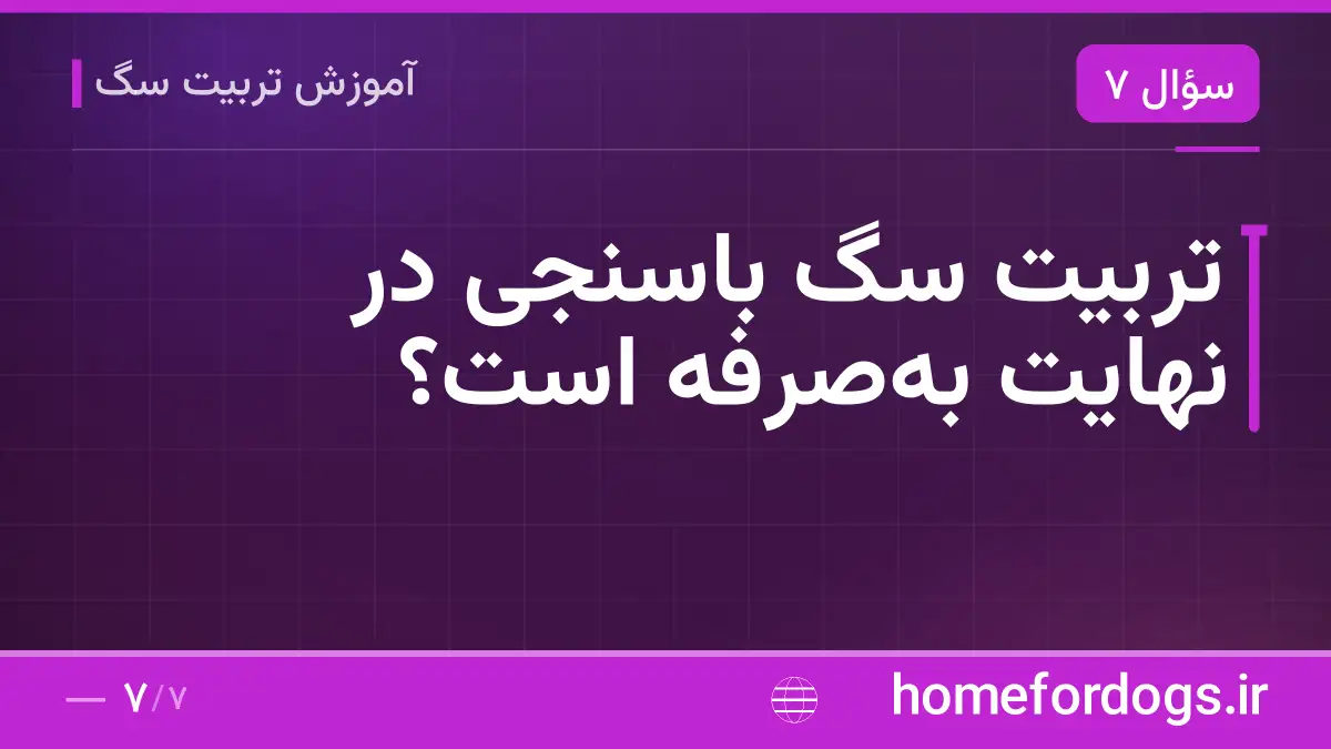 تربیت سگ باسنجی در نهایت به‌صرفه است؟