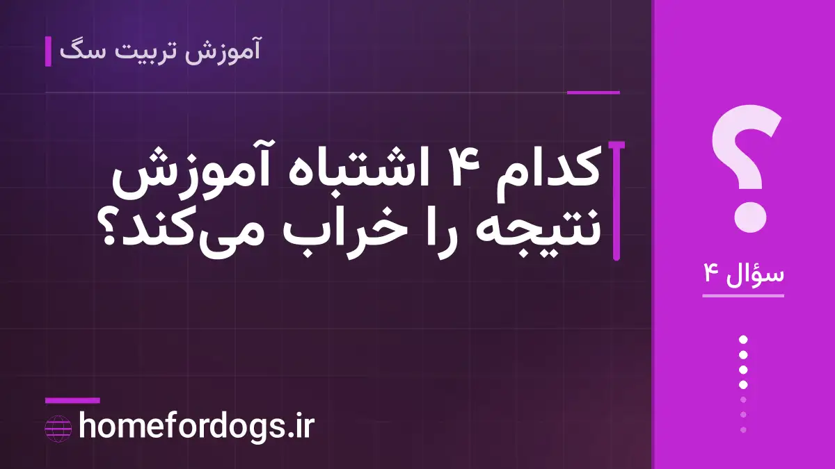 کدام ۴ اشتباه آموزش نتیجه را خراب می‌کند؟