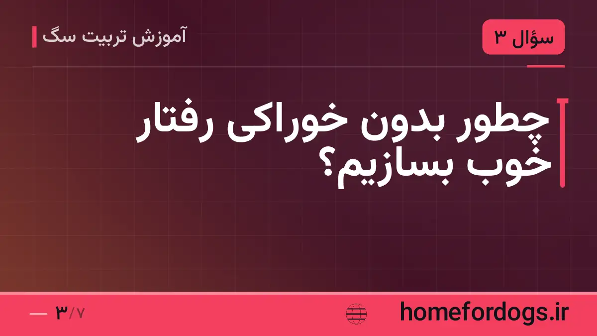 چطور بدون خوراکی رفتار خوب بسازیم؟