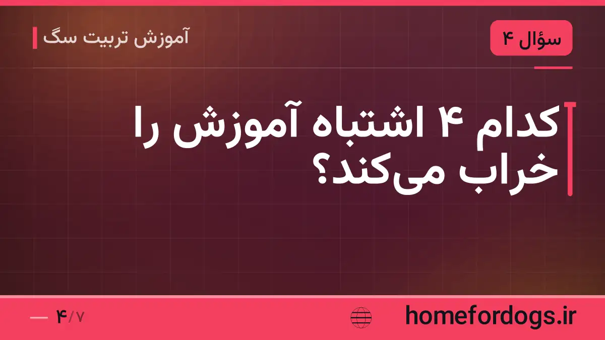 کدام ۴ اشتباه آموزش را خراب می‌کند؟