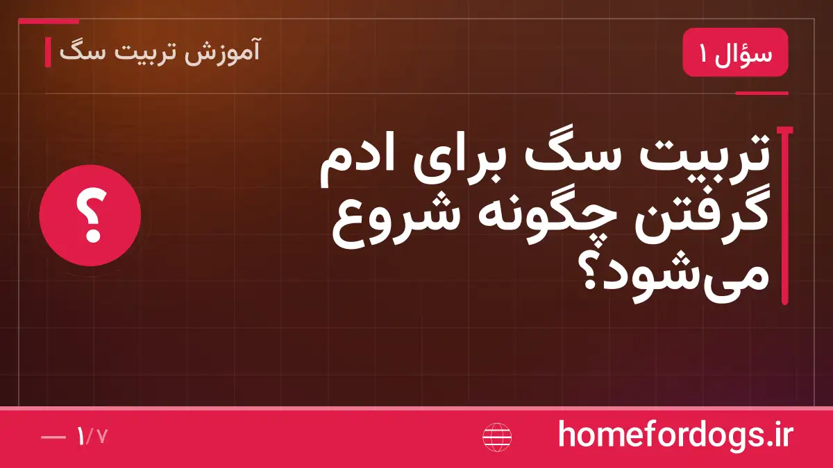 تربیت سگ برای ادم گرفتن چگونه شروع می‌شود؟