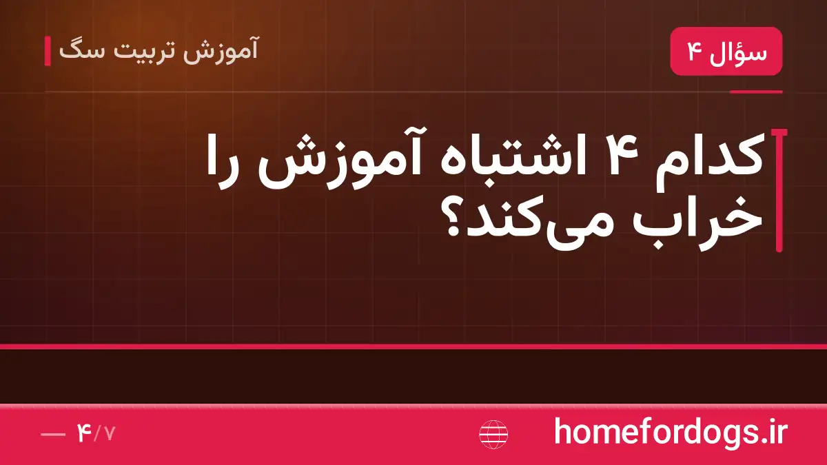 کدام ۴ اشتباه آموزش را خراب می‌کند؟
