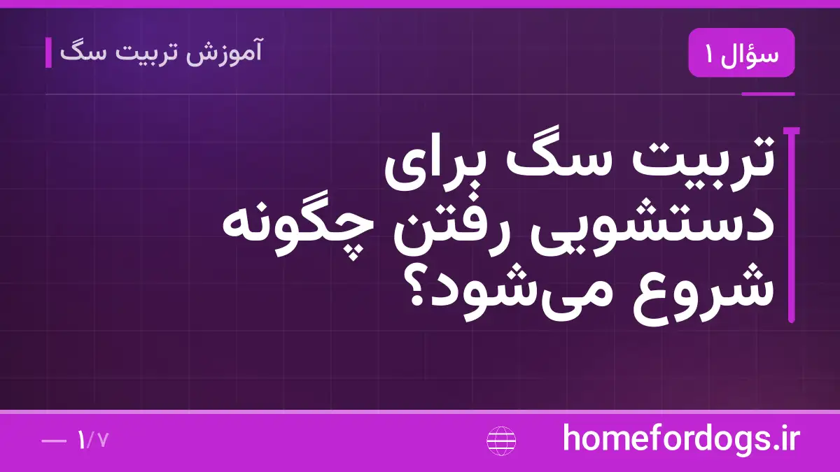 تربیت سگ برای دستشویی رفتن چگونه شروع می‌شود؟