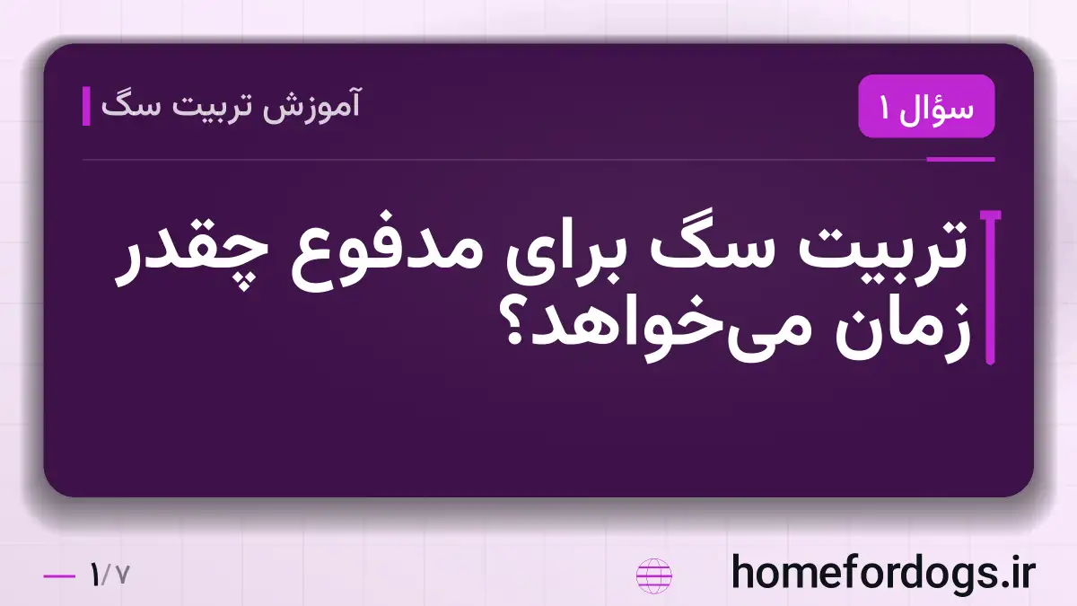 تربیت سگ برای مدفوع چقدر زمان میخواهد؟