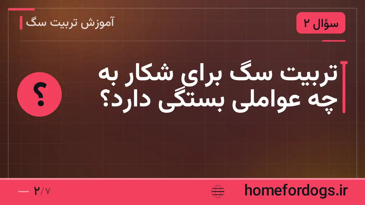 تربیت سگ برای شکار به چه عواملی بستگی دارد؟