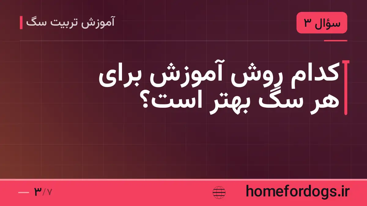 کدام روش آموزش برای هر سگ بهتر است؟