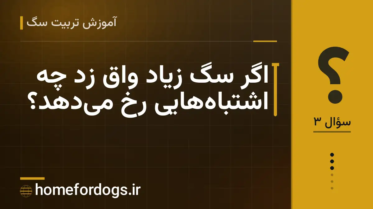 اگر سگ زیاد واق زد چه اشتباه‌هایی رخ می‌دهد؟