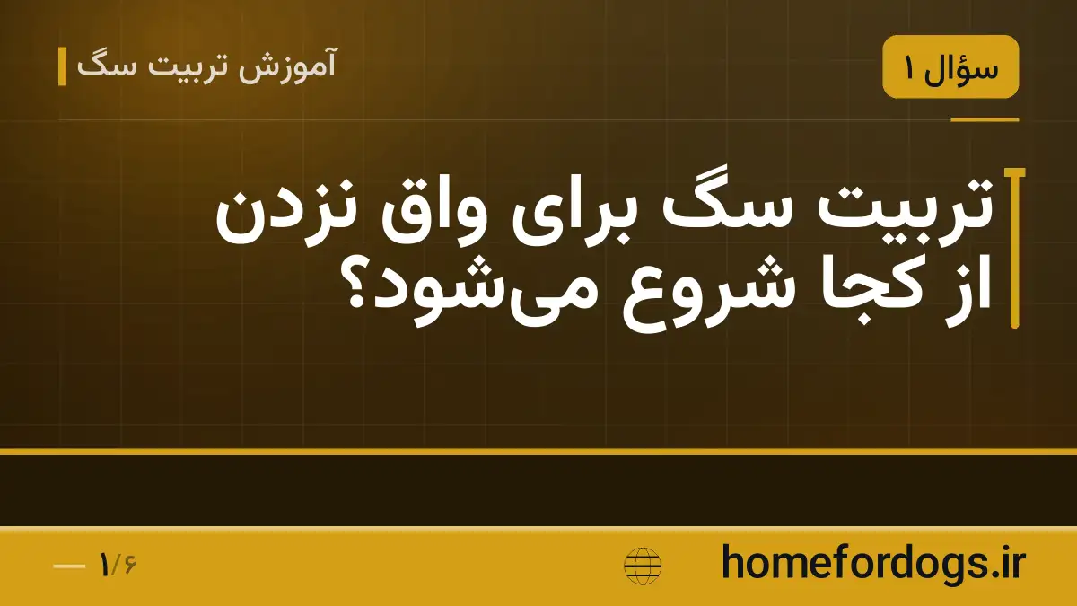 تربیت سگ برای واق نزدن از کجا شروع می‌شود؟