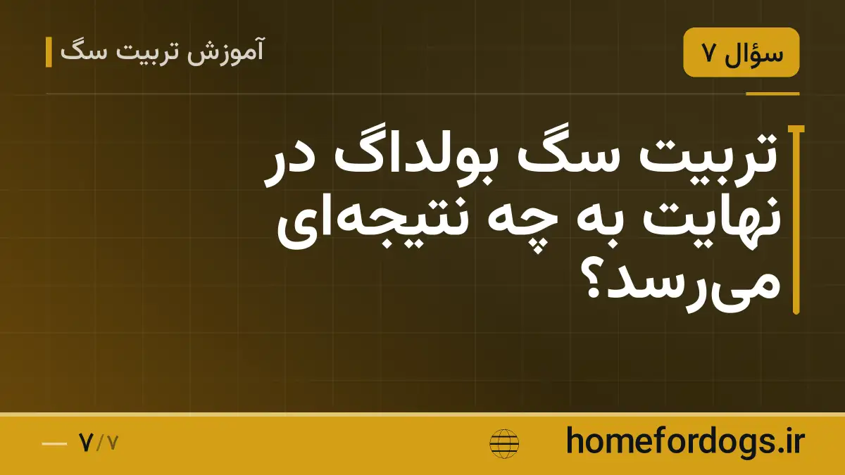 تربیت سگ بولداگ در نهایت به چه نتیجه‌ای می‌رسد؟