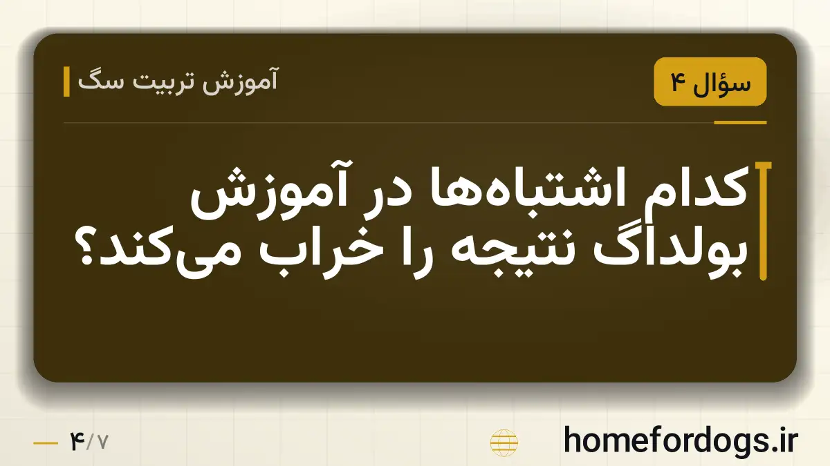 کدام اشتباه‌ها در آموزش بولداگ نتیجه را خراب می‌کند؟