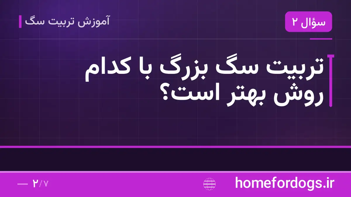تربیت سگ بزرگ با کدام روش بهتر است؟