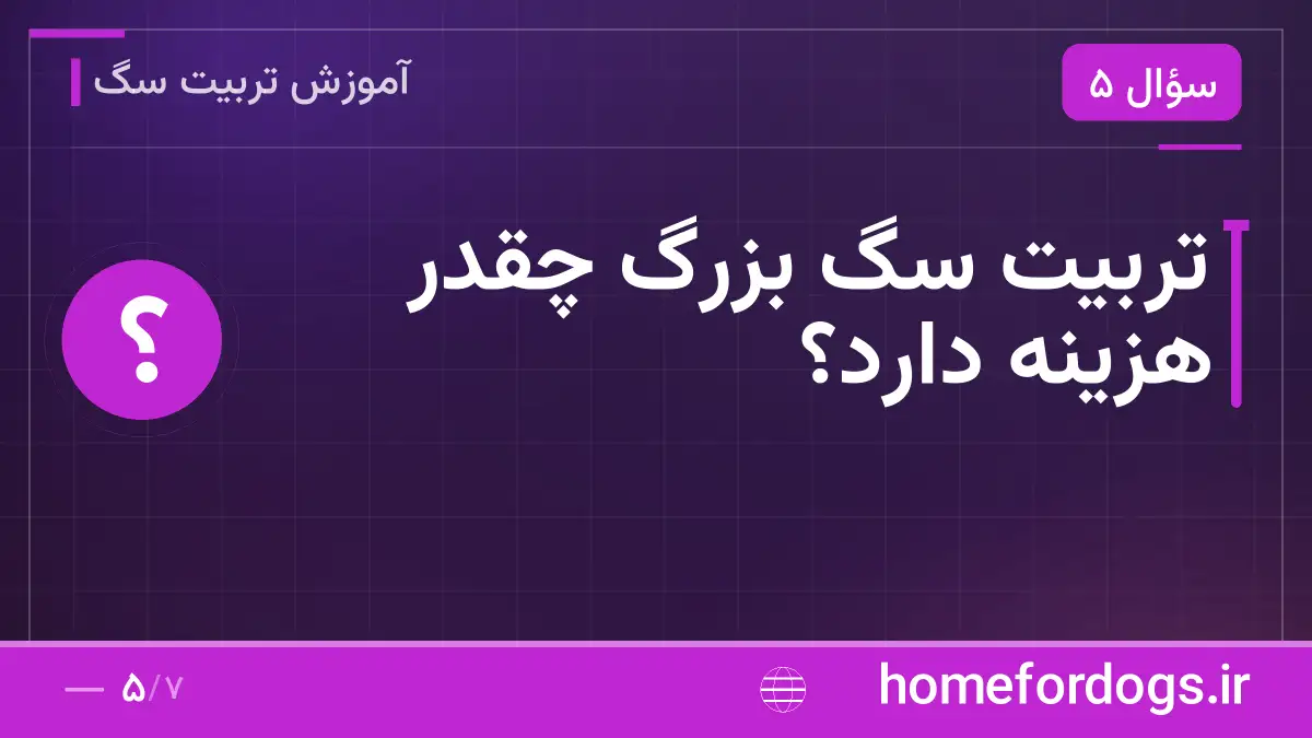 تربیت سگ بزرگ چقدر هزینه دارد؟