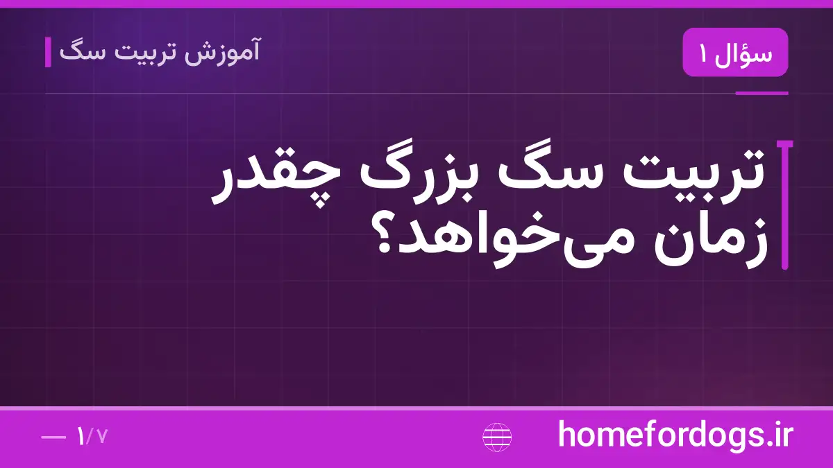 تربیت سگ بزرگ چقدر زمان می‌خواهد؟