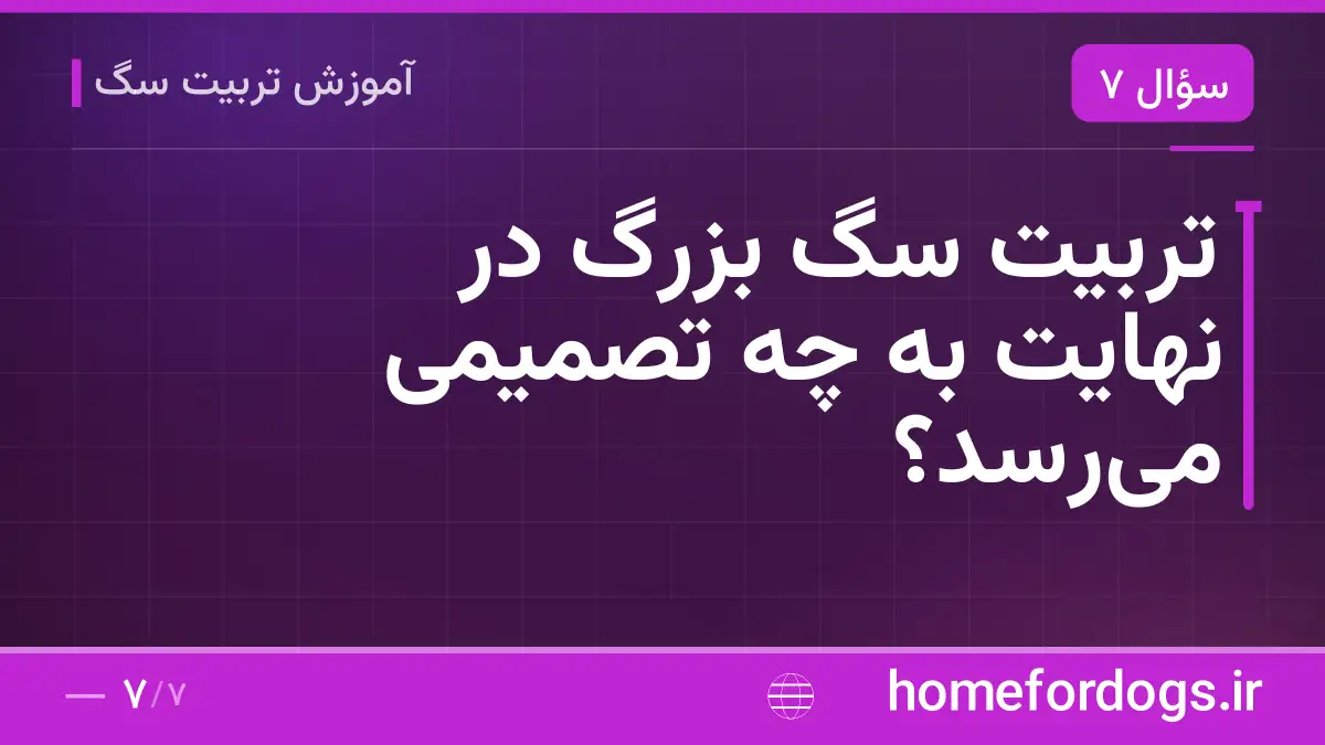 تربیت سگ بزرگ در نهایت به چه تصمیمی می‌رسد؟