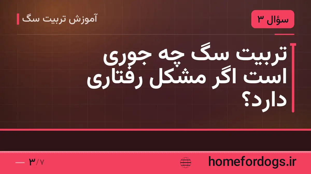 تربیت سگ چه جوری است اگر مشکل رفتاری دارد؟