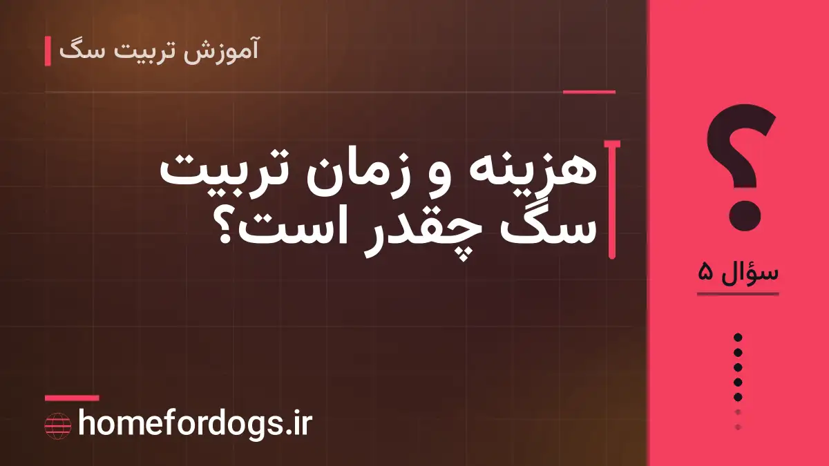 هزینه و زمان تربیت سگ چقدر است؟