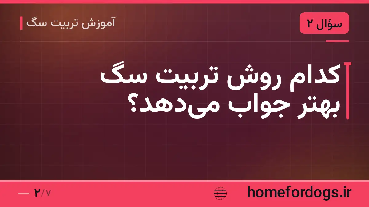 کدام روش تربیت سگ بهتر جواب می‌دهد؟