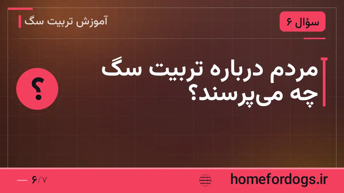 مردم درباره تربیت سگ چه می‌پرسند؟
