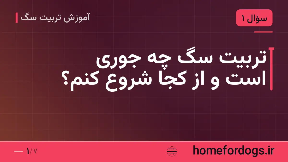 تربیت سگ چه جوری است و از کجا شروع کنم؟