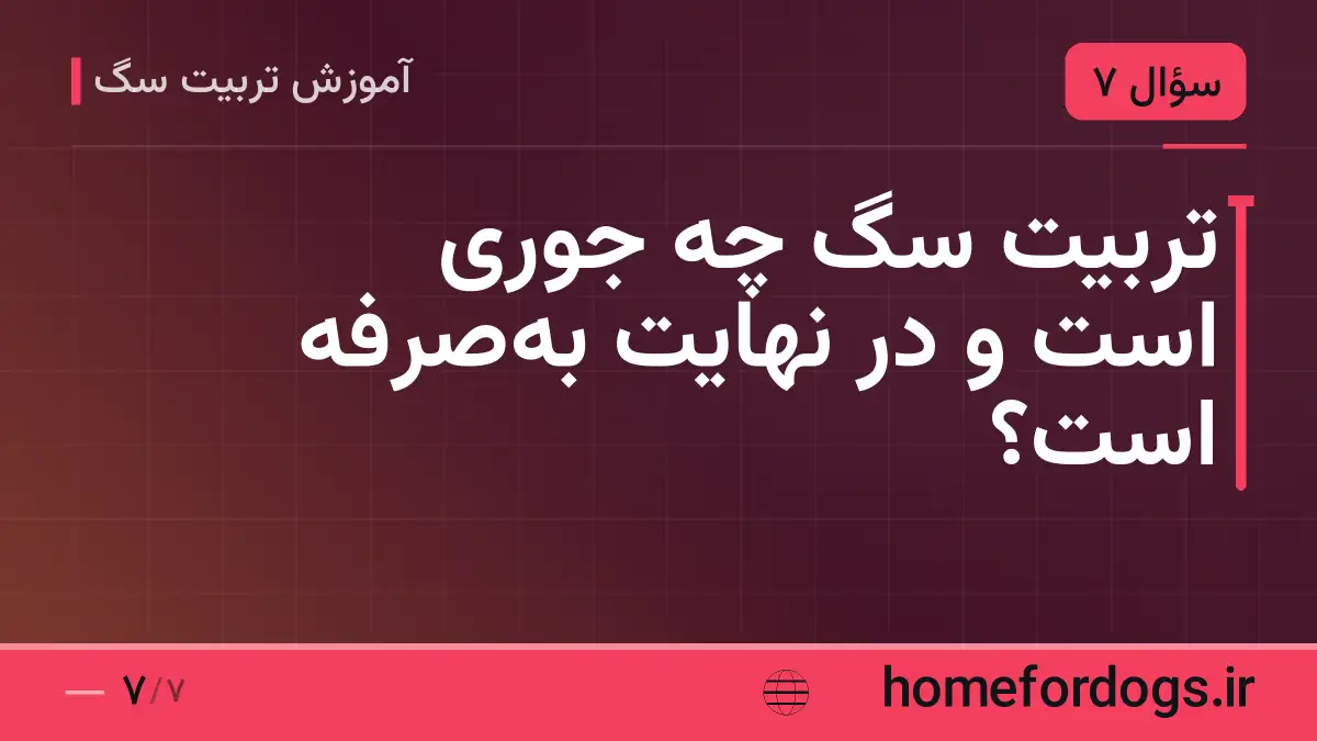 تربیت سگ چه جوری است و در نهایت به‌صرفه است؟