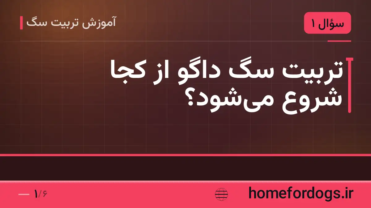 تربیت سگ داگو از کجا شروع می‌شود؟