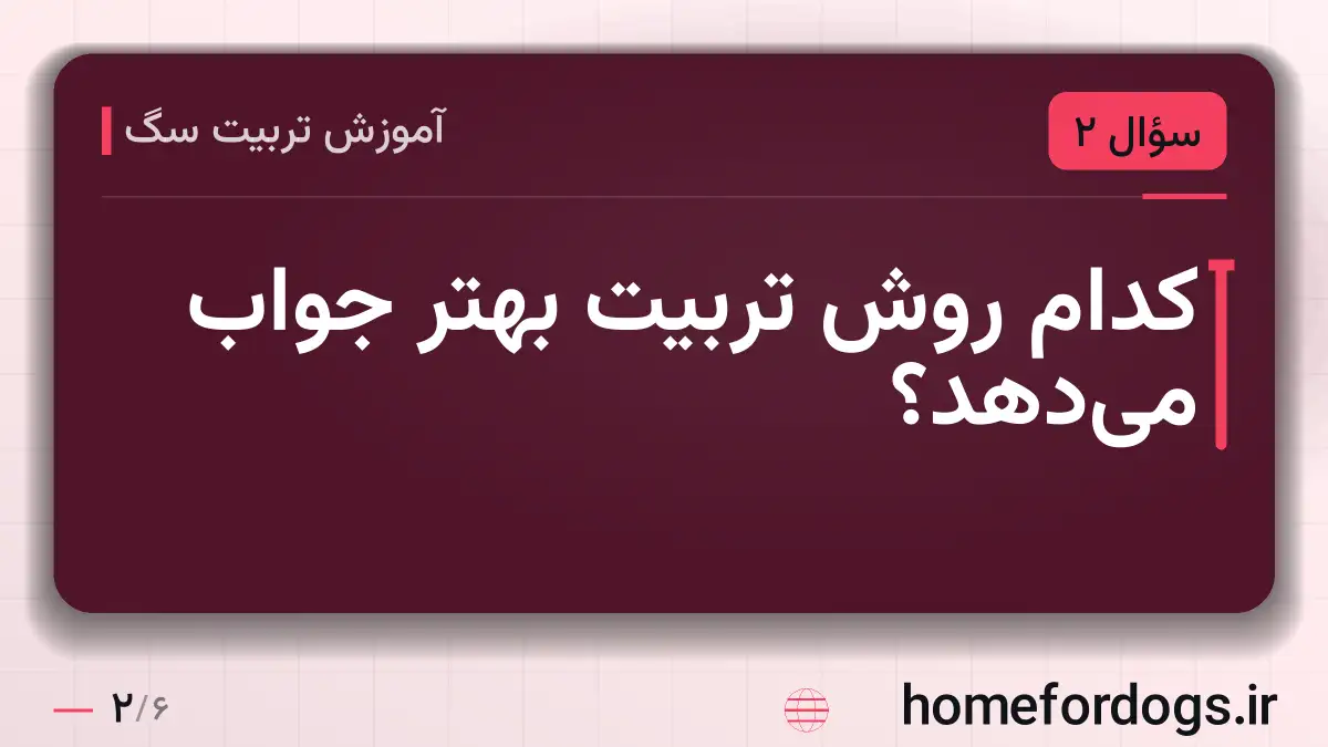 کدام روش تربیت بهتر جواب می‌دهد؟