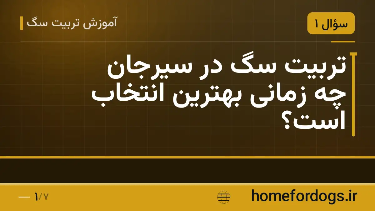 تربیت سگ در سیرجان چه زمانی بهترین انتخاب است؟