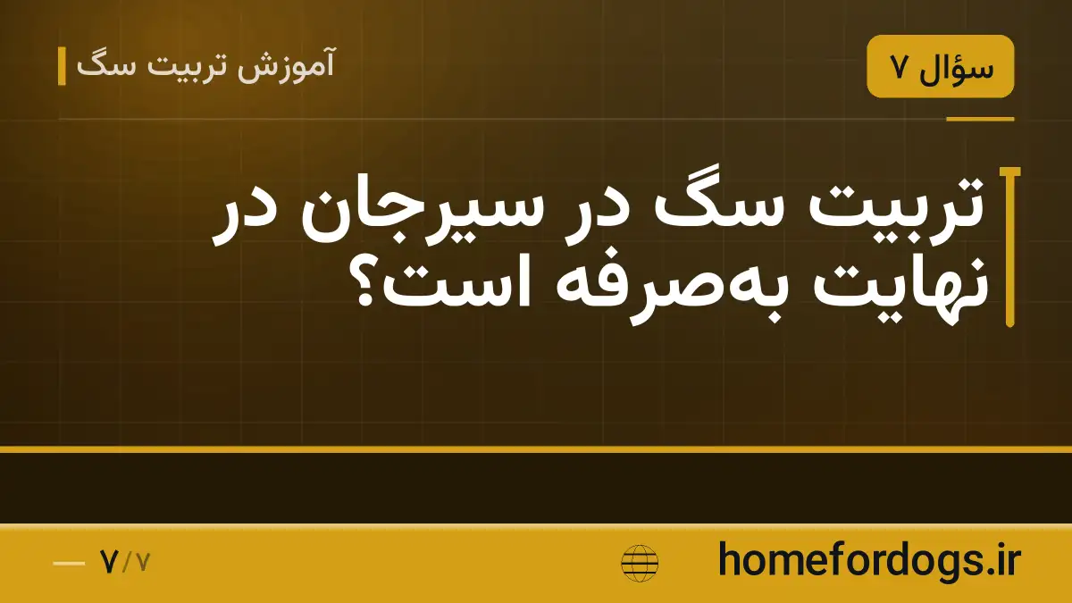 تربیت سگ در سیرجان در نهایت بهصرفه است؟