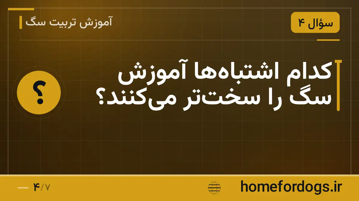 کدام اشتباهها آموزش سگ را سختتر میکنند؟