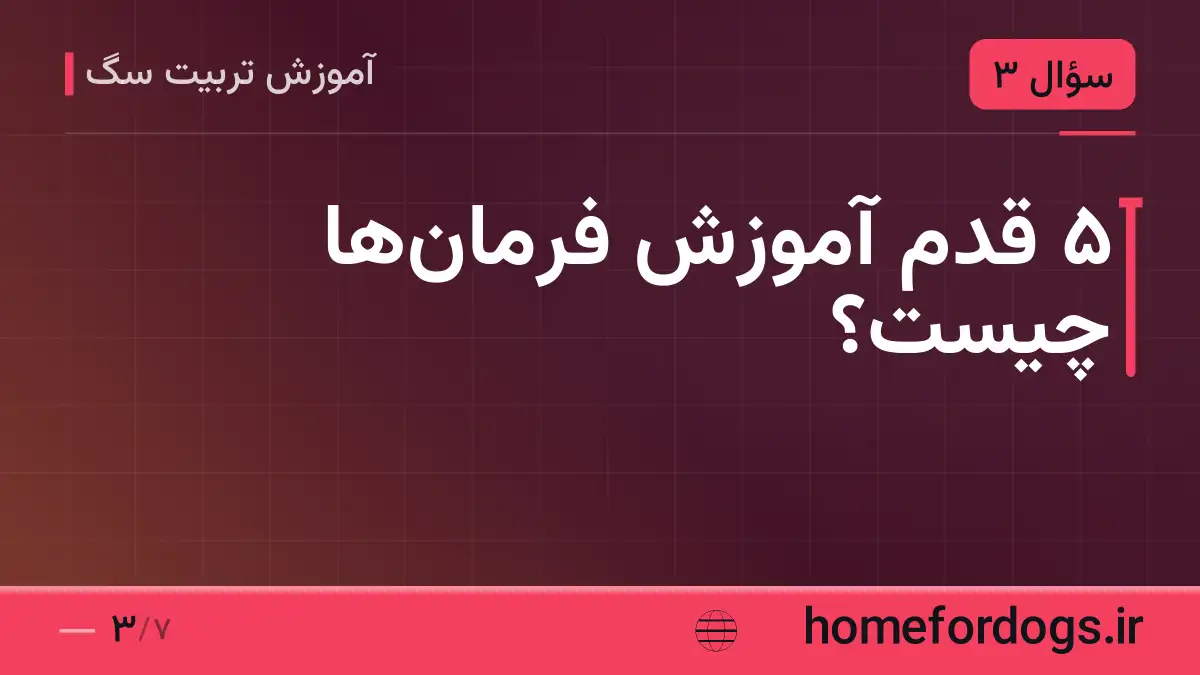 ۵ قدم آموزش فرمانها چیست؟