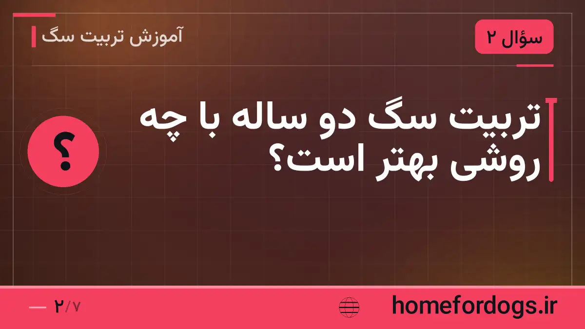 تربیت سگ دو ساله با چه روشی بهتر است؟