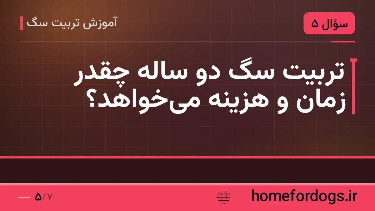 تربیت سگ دو ساله چقدر زمان و هزینه میخواهد؟