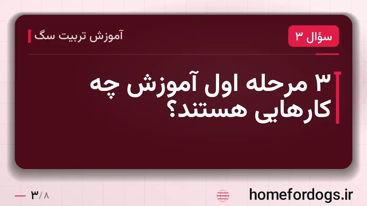 ۳ مرحله اول آموزش چه کارهایی هستند؟