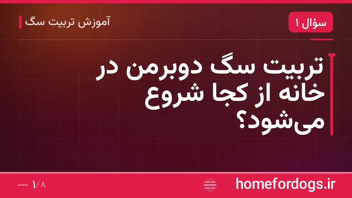 تربیت سگ دوبرمن در خانه از کجا شروع میشود؟