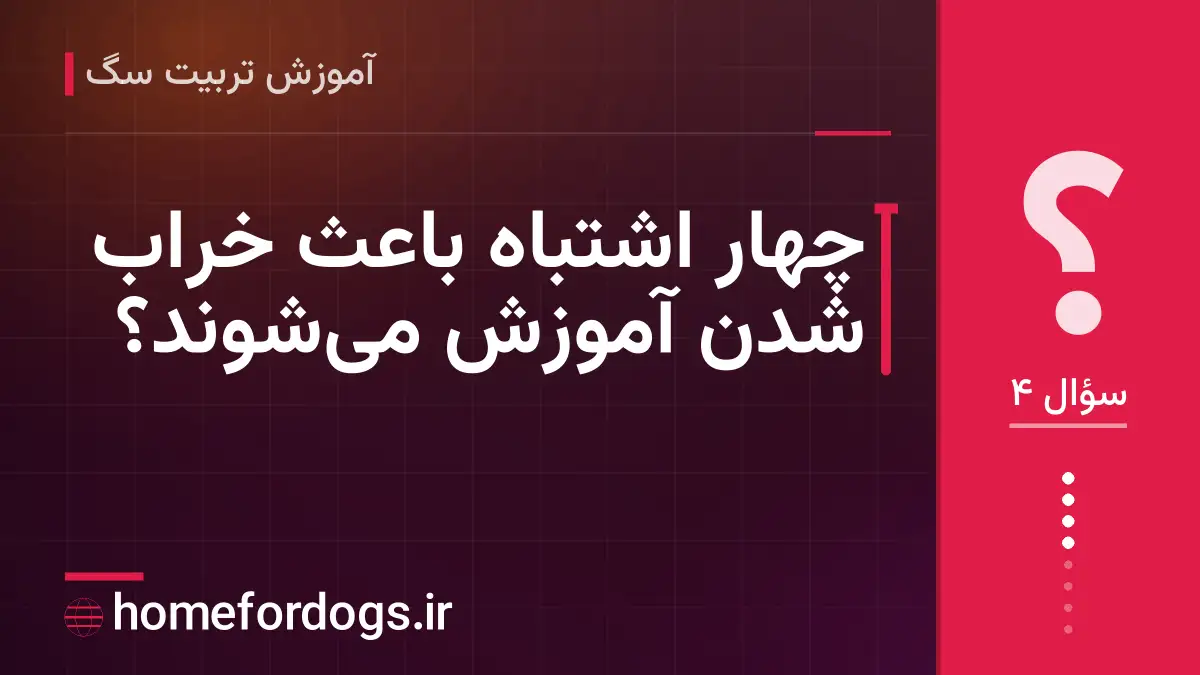 چهار اشتباه باعث خراب شدن آموزش میشوند؟