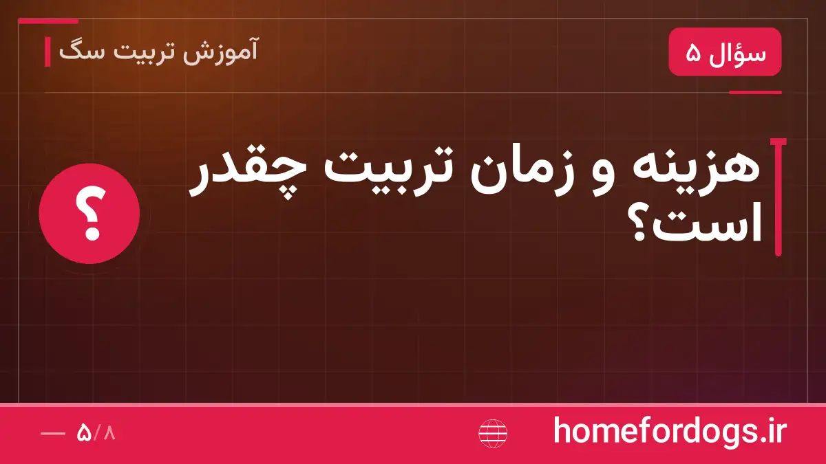 هزینه و زمان تربیت چقدر است؟