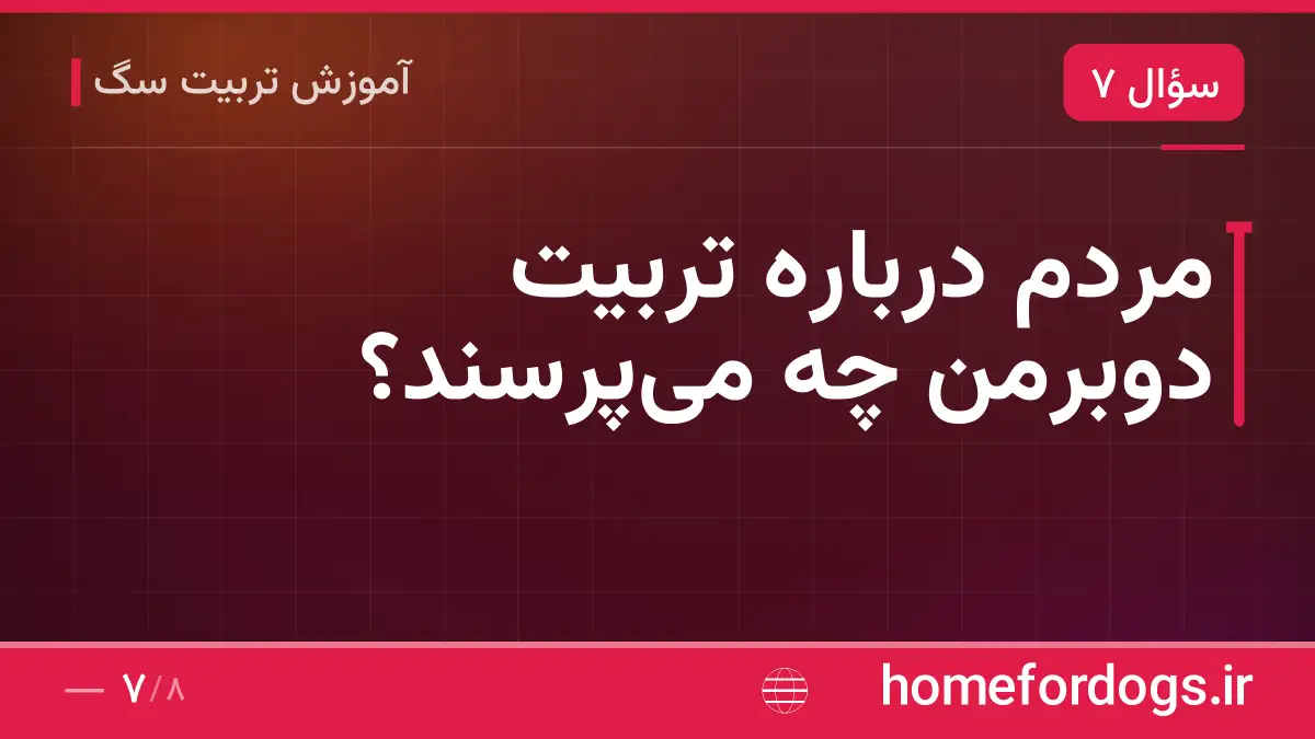 مردم درباره تربیت دوبرمن چه میپرسند؟