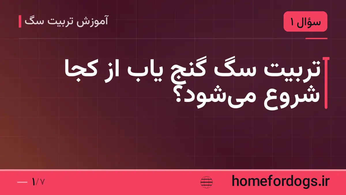 تربیت سگ گنج یاب از کجا شروع می‌شود؟