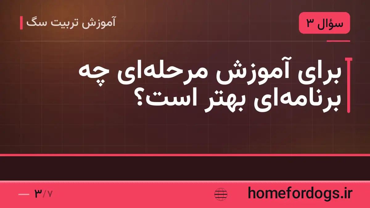 برای آموزش مرحله‌ای چه برنامه‌ای بهتر است؟