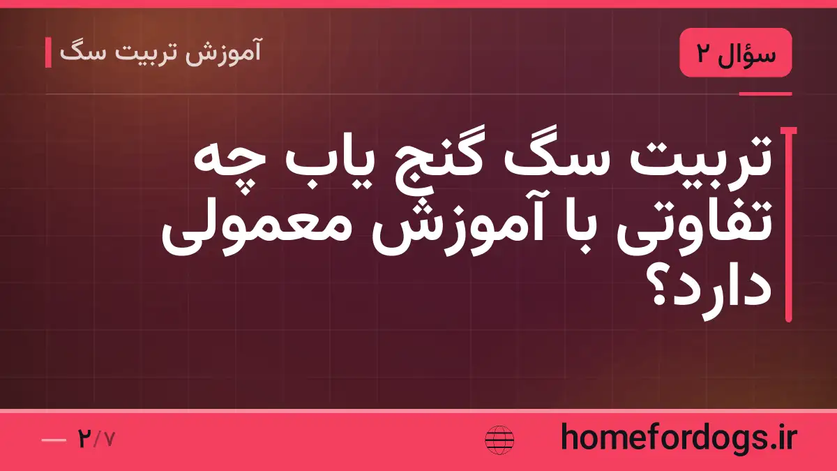 تربیت سگ گنج یاب چه تفاوتی با آموزش معمولی دارد؟