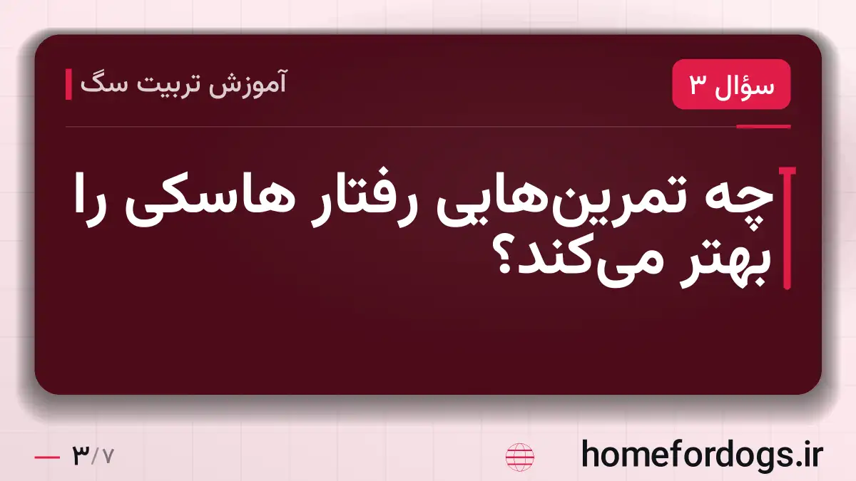 چه تمرینهایی رفتار هاسکی را بهتر میکند؟