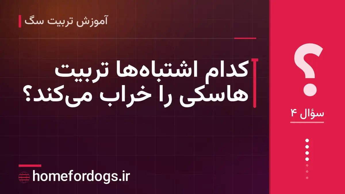 کدام اشتباهها تربیت هاسکی را خراب میکند؟