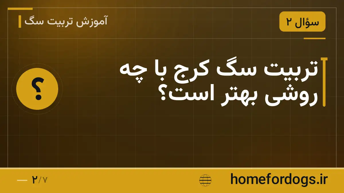 تربیت سگ کرج با چه روشی بهتر است؟