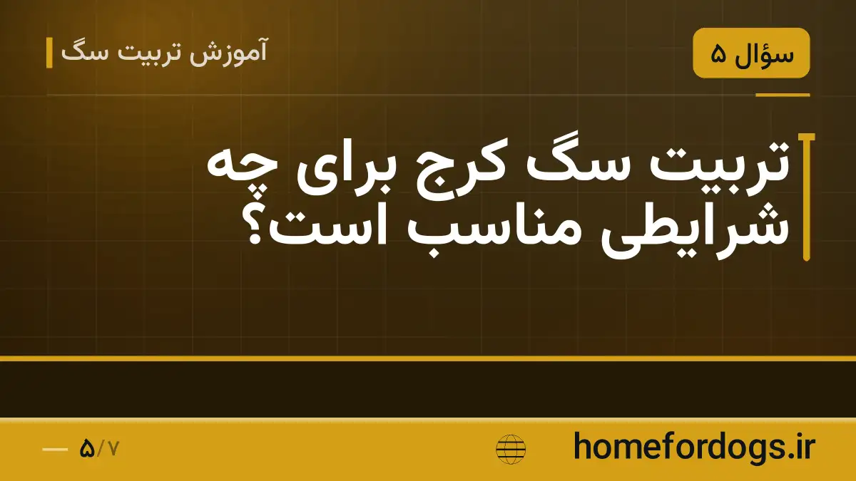 تربیت سگ کرج برای چه شرایطی مناسب است؟