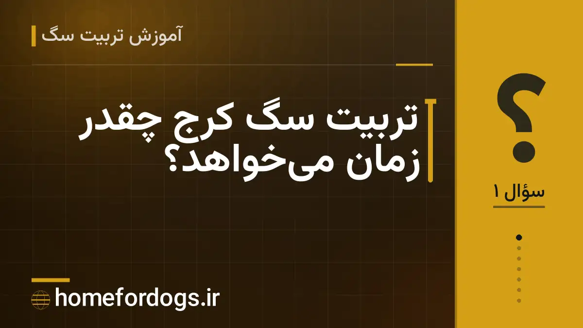 تربیت سگ کرج چقدر زمان می‌خواهد؟